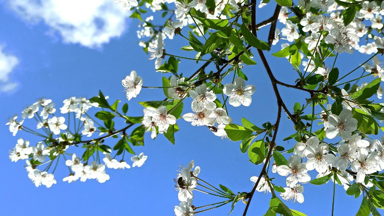 Take the tidymodels survey for 2024 priorities