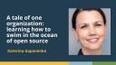 A tale of one organization: learning how to swim in the ocean of open source (Katerina Gapanenko)